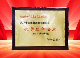 喜讯丨千亿国际(中国)数据获评2024~2025年度武汉市软件行业“优秀企业”、“优秀工作者”荣誉称号！
